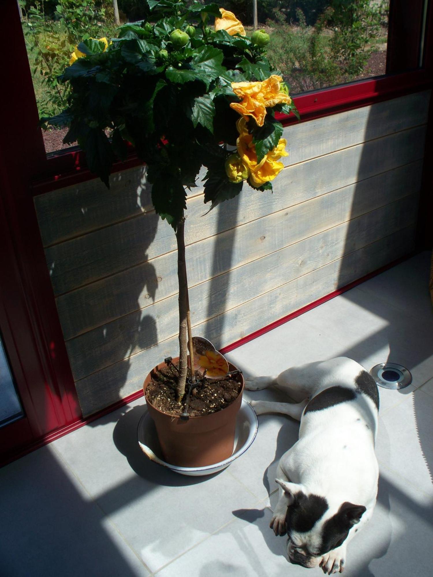 Le Pre Karvain Bed and Breakfast Couddes Esterno foto