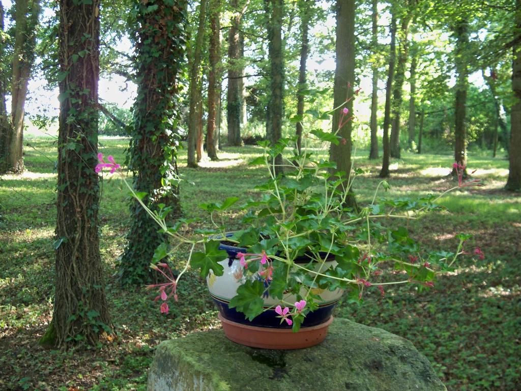 Le Pre Karvain Bed and Breakfast Couddes Esterno foto