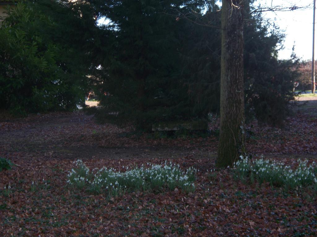 Le Pre Karvain Bed and Breakfast Couddes Esterno foto